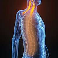 Back & Neck Injuries